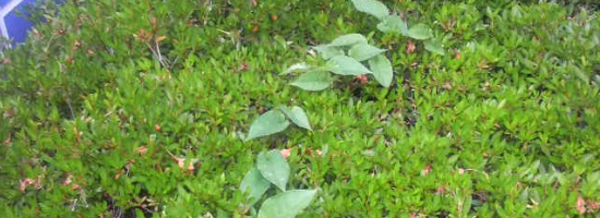 P1000072.JPG